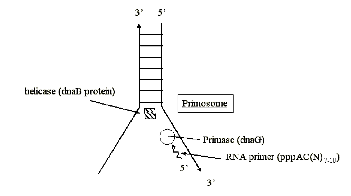 Captura de pantalla (213) .png