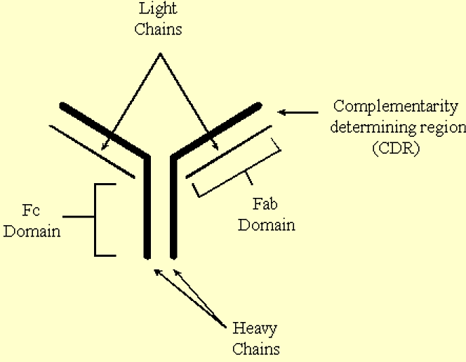 Screenshot (328).png