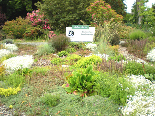 تظهر الصورة حديقة ذات مناظر طبيعية مع مجموعة متنوعة من الزهور والشجيرات.
