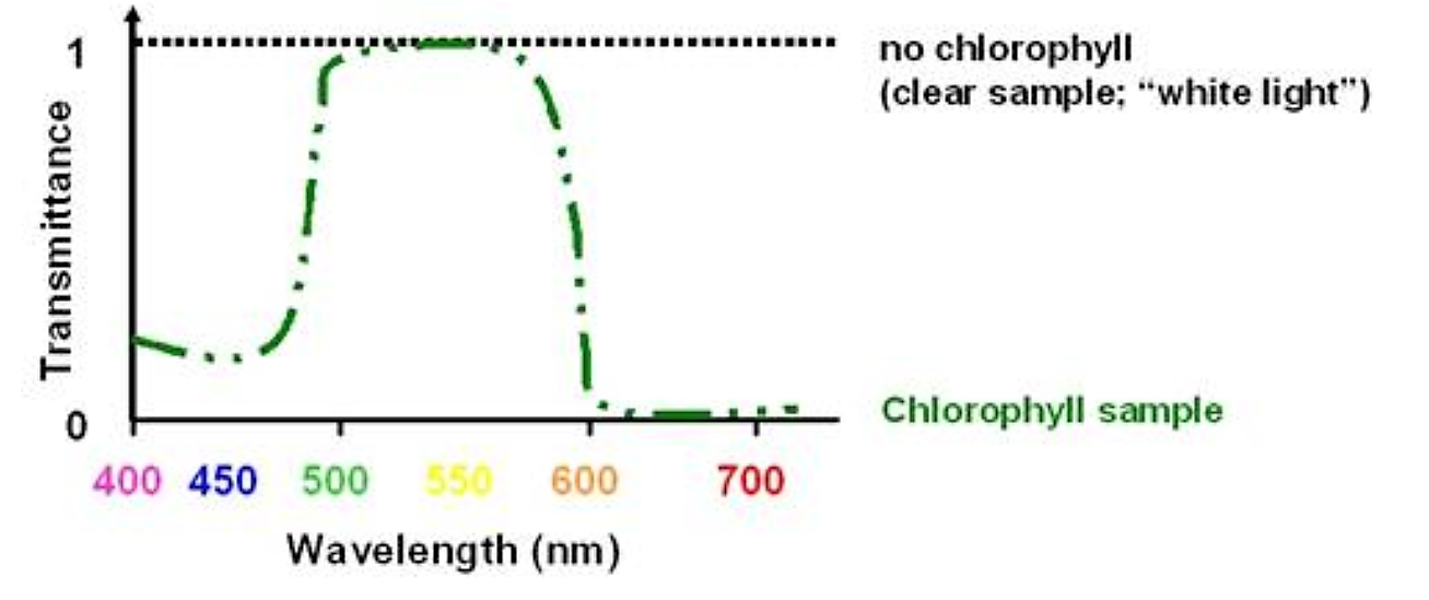 Screenshot (386).png