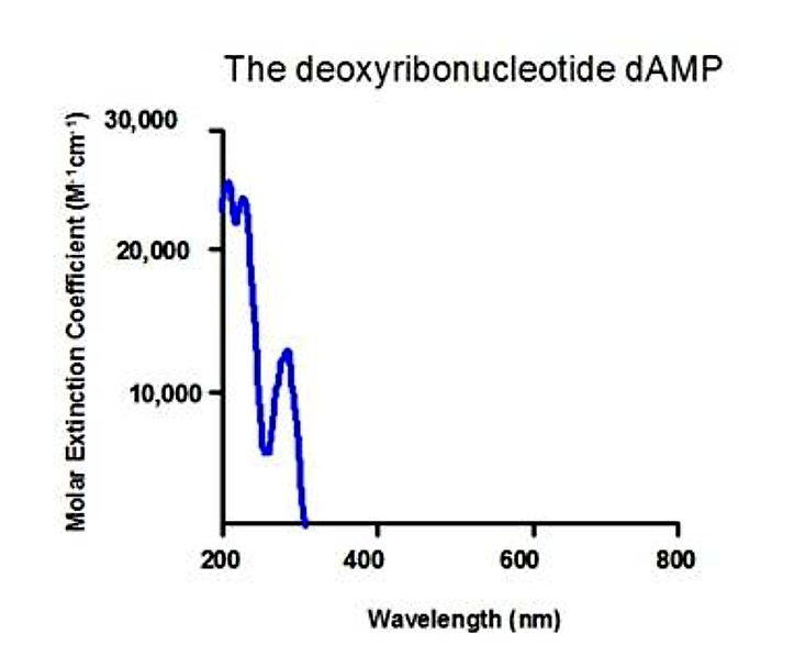 Screenshot (394).png