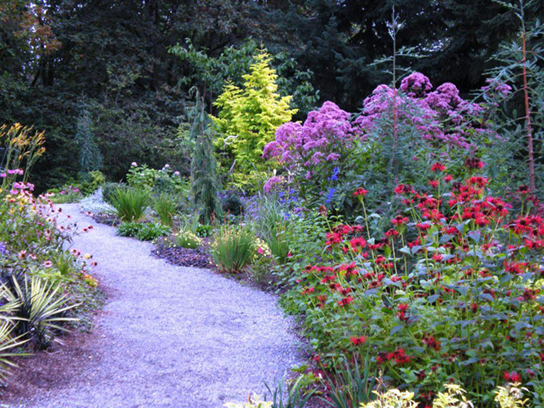 La foto muestra un camino sinuoso bordeado por flores en una variedad de colores y formas.