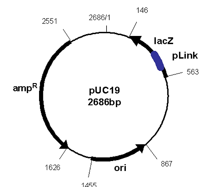 Screenshot (452).png