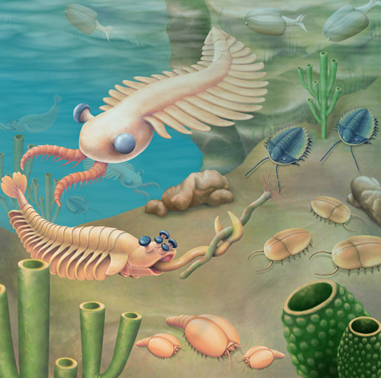 L'illustration montre un fond marin regorgeant d'organismes étranges, notamment des vers tubulaires ancrés au fond de la mer et des animaux ressemblant à des cafards rampant le long de ce fond marin. Les créatures nageuses ressemblent un peu aux insectes modernes.