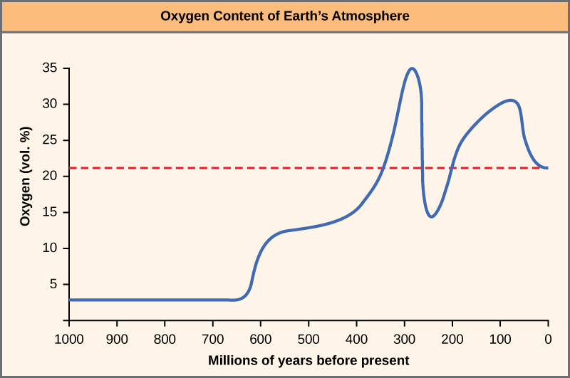 Le graphique montre le pourcentage d'oxygène en volume dans l'atmosphère de la Terre. Jusqu'à il y a 625 millions d'années, il n'y avait pratiquement pas d'oxygène. Les niveaux d'oxygène ont commencé à grimper rapidement à cette époque et ont atteint un sommet il y a environ 275 millions d'années, à environ 35 %. Il y a 275 à 225 millions d'années, les niveaux d'oxygène ont chuté brusquement à environ 15 pour cent, puis ont de nouveau augmenté pour atteindre la concentration moderne de 22 pour cent.