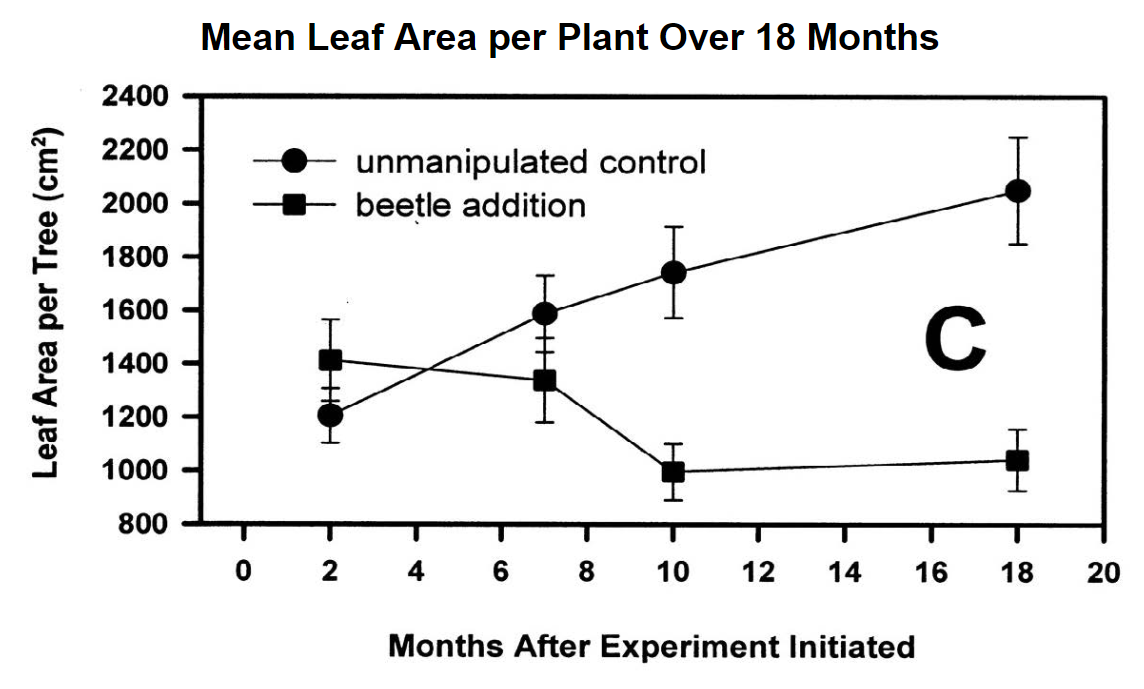 leaf area graph.png