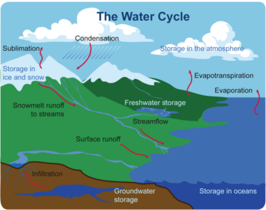 water biocycle