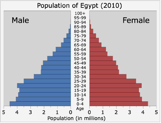 population pyramid of Egypt -2010