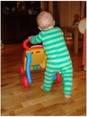 one year old learning to walk by pushing wheeled toy