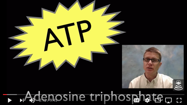 splash_ATP.png