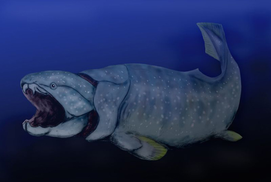A ilustração mostra um peixe grande com uma boca muito larga.