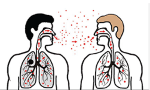 Disease transmission sneezing