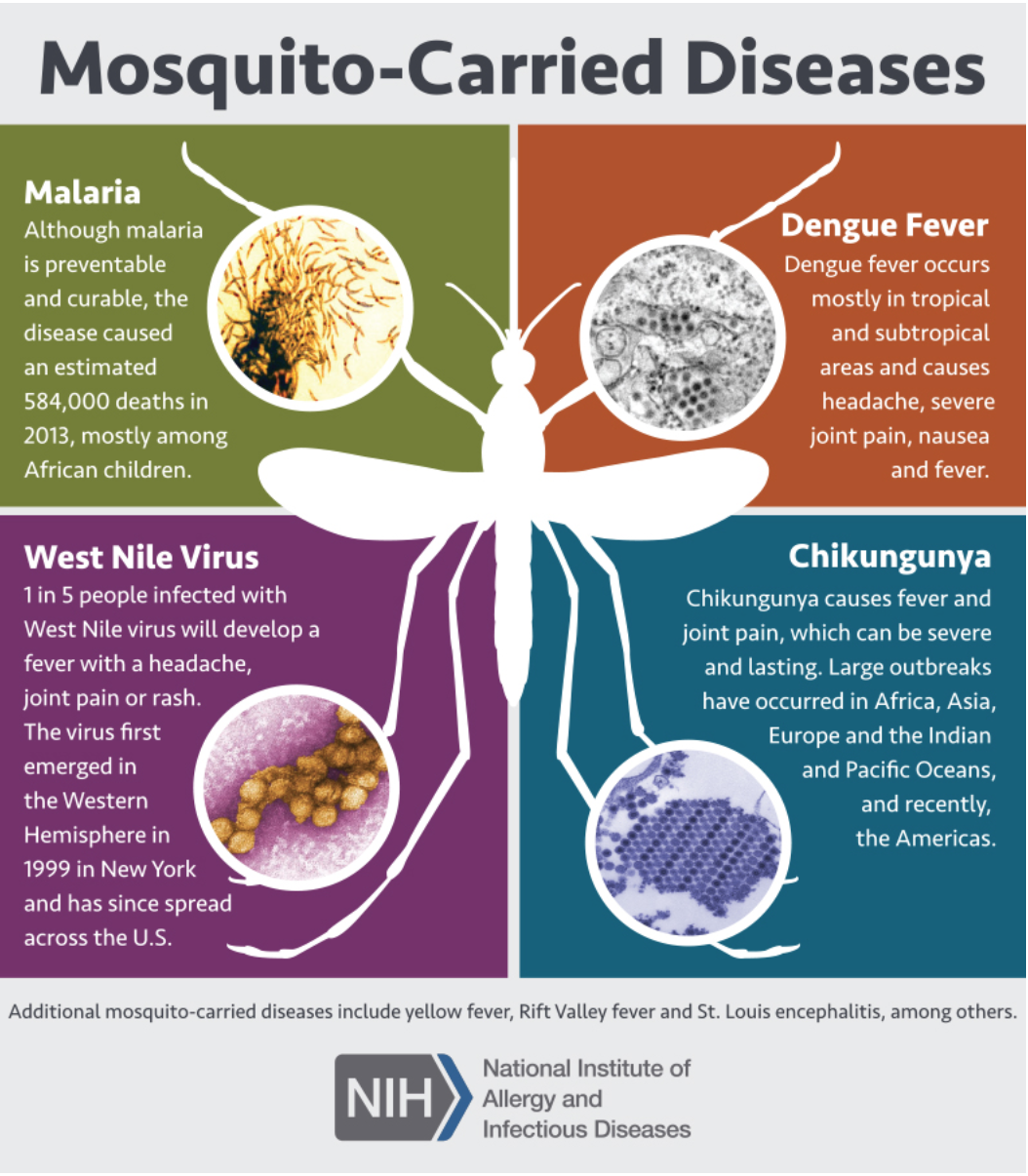Mosquito Carried Diseases poster
