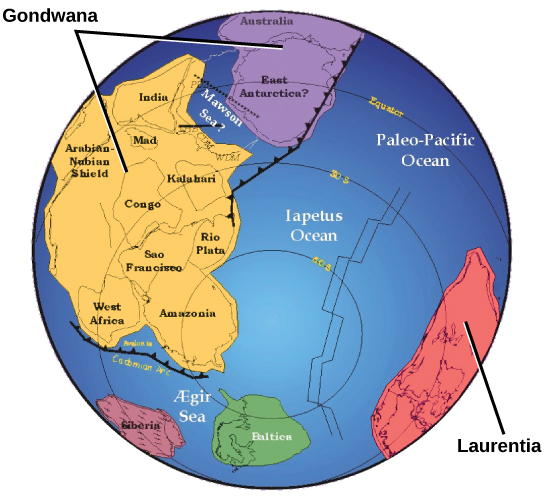 تُظهر خريطة العالم قارتين، هما غوندوانا ولورينتيا، اللتان تتشكلان بشكل مختلف تمامًا عن قارتي اليوم. كانت غوندوانا مكونة من قارتين صغيرتين يفصل بينهما بحر ضيق. احتوت إحدى القارات على أنتاركتيكا الحديثة، بينما احتوت الأخرى على أجزاء من إفريقيا.