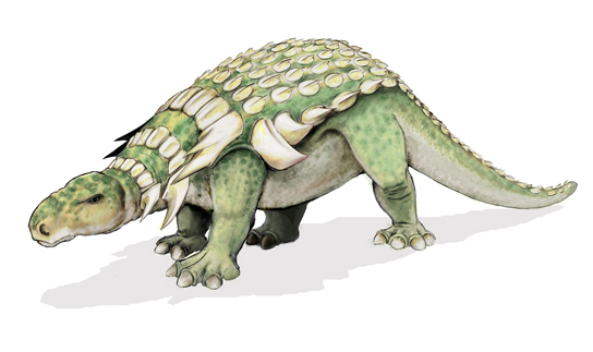 A ilustração mostra um dinossauro que anda sobre quatro patas, tem uma cauda longa e um dorso blindado.