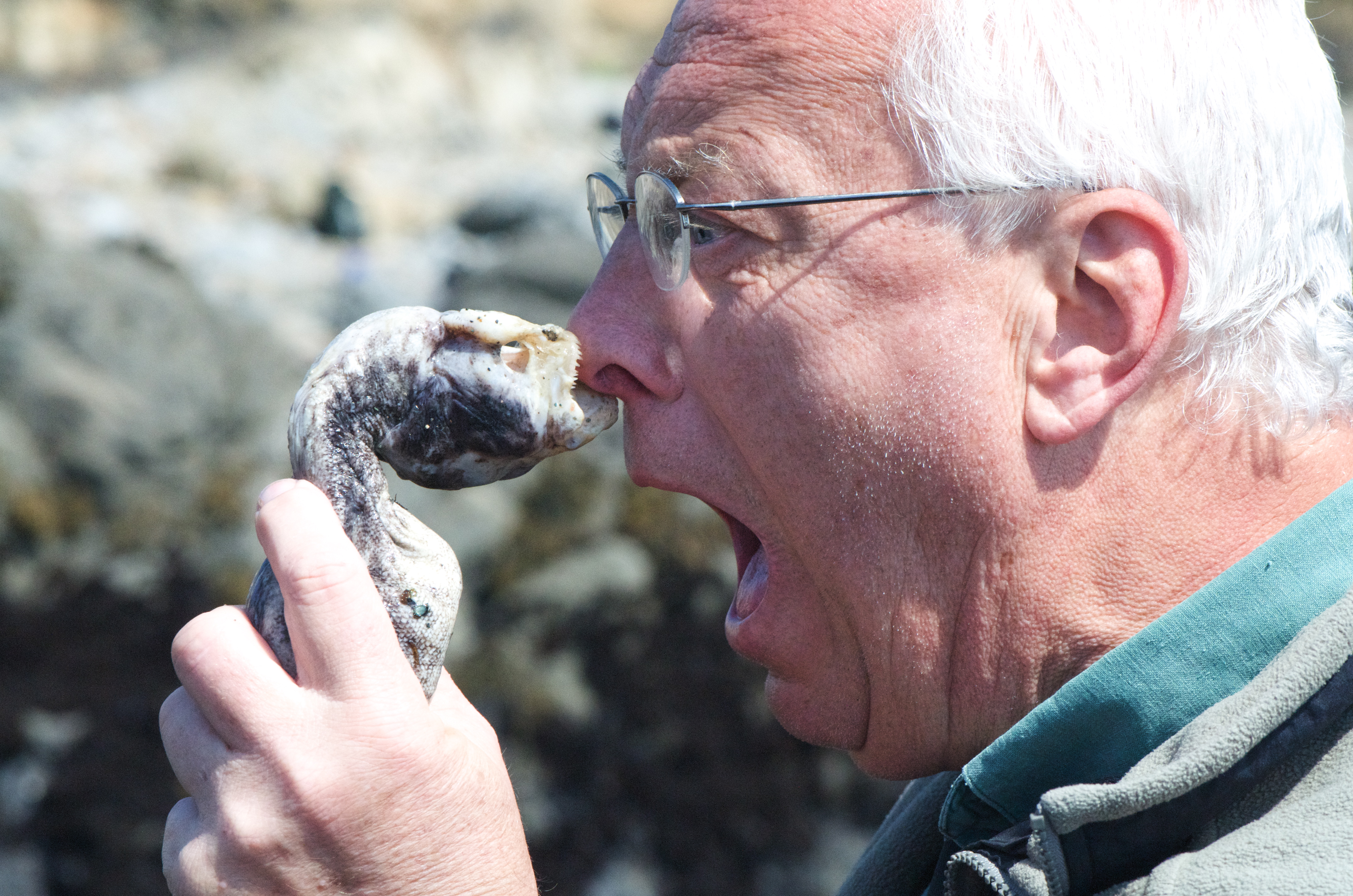 snake biting a man's nose