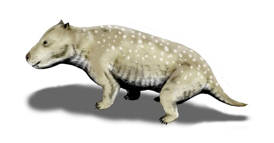 L'illustration montre un animal ressemblant à un chien à poil court.