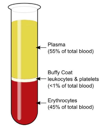 Blood centrifugation scheme
