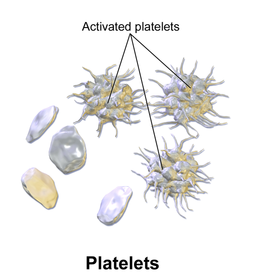 activated Platelets