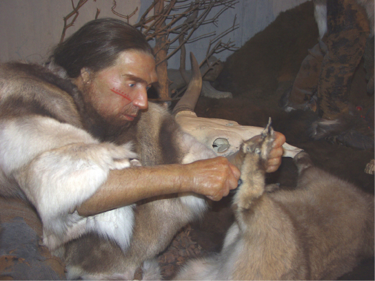 La ilustración muestra a un neandertal de aspecto muy humano vistiendo pelaje y cortando una piel con una herramienta de piedra.