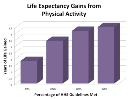 Life Expectancy Gains from Physical Activity Graph