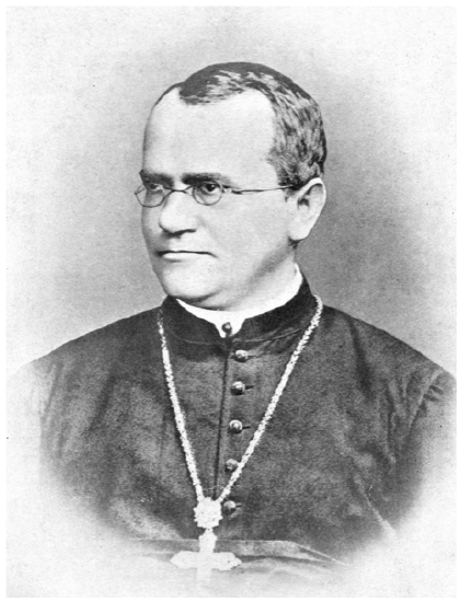 Gregor Mendel's portrait