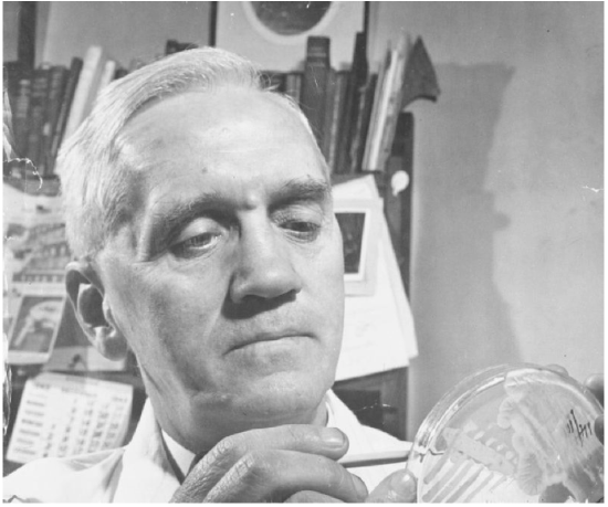 Alexander Fleming looking at a Petri Dish with growth on it 