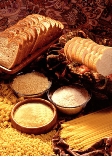 Carbohydrates bread grains