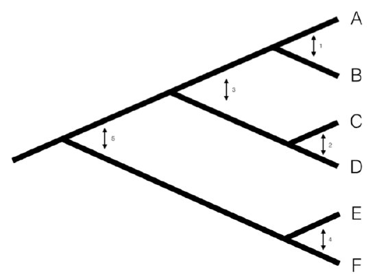 figure4-1.png