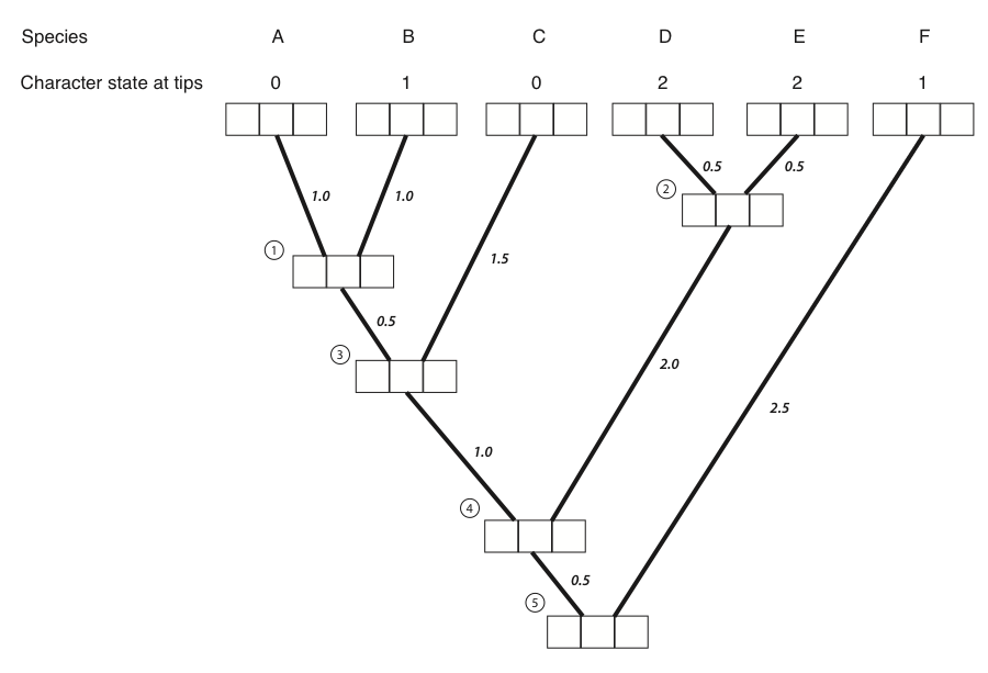 figure8-4A.png