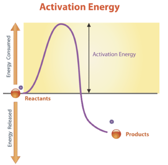 activation energy graph