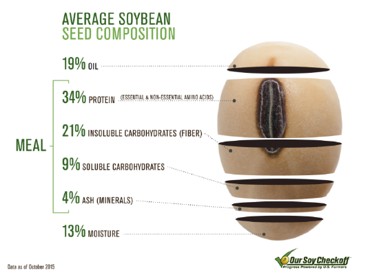 Soybean Composition Infographic