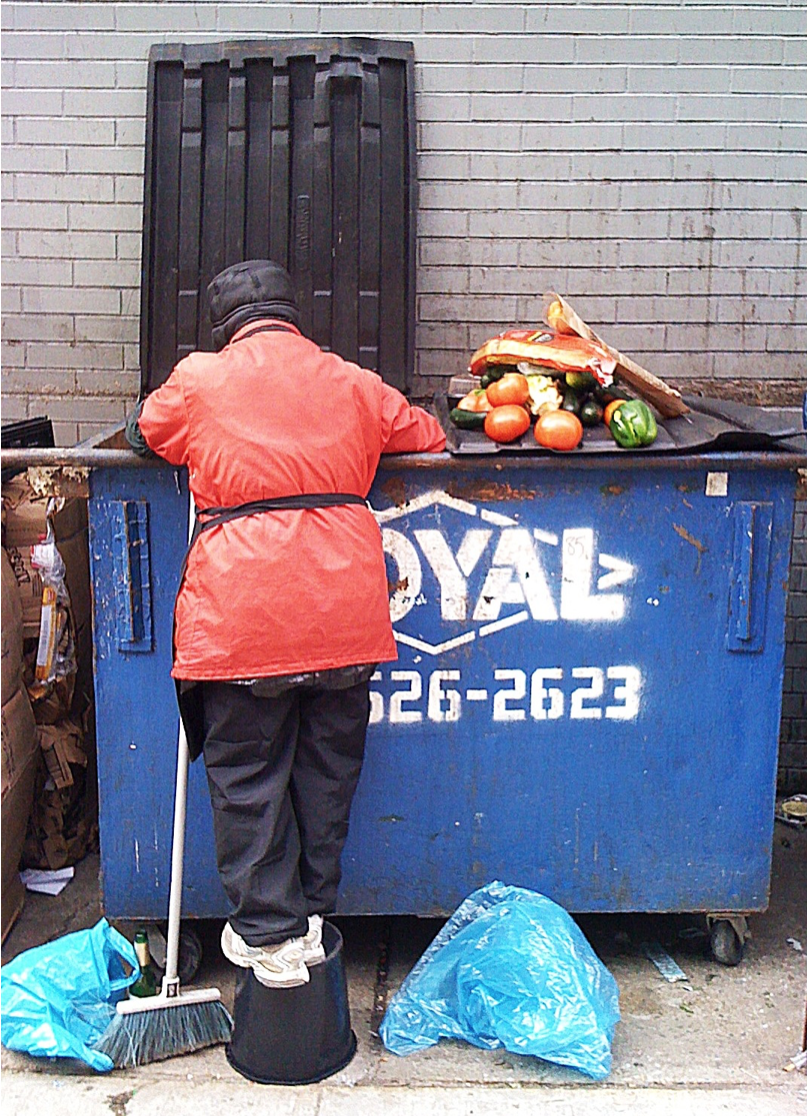 A man scavenges food from a dumpster