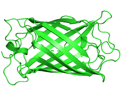 4: The Three-Dimensional Structure of Proteins
