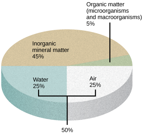 La ilustración muestra un gráfico circular que describe la composición del suelo. Cuarenta y cinco por ciento es materia mineral inorgánica, 25 por ciento es agua, 25 por ciento es aire y 5 por ciento es materia orgánica, incluyendo microorganismos y macroorganismos.