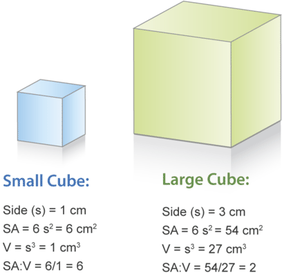 surface to volume of a small and a large cube