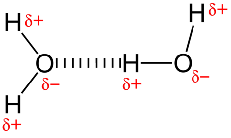 two water molecules with hydrogen bond