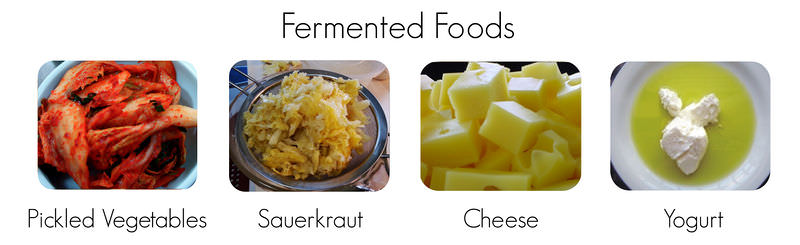 Various fermented foods