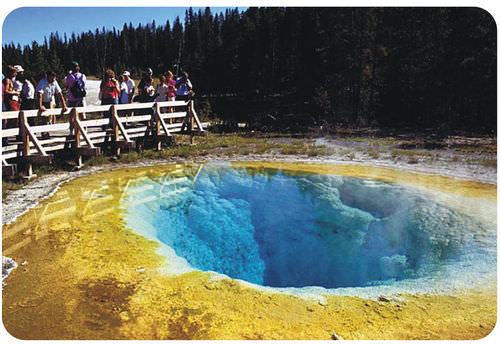 Geothermal pool that contains hyperthermophilic organims
