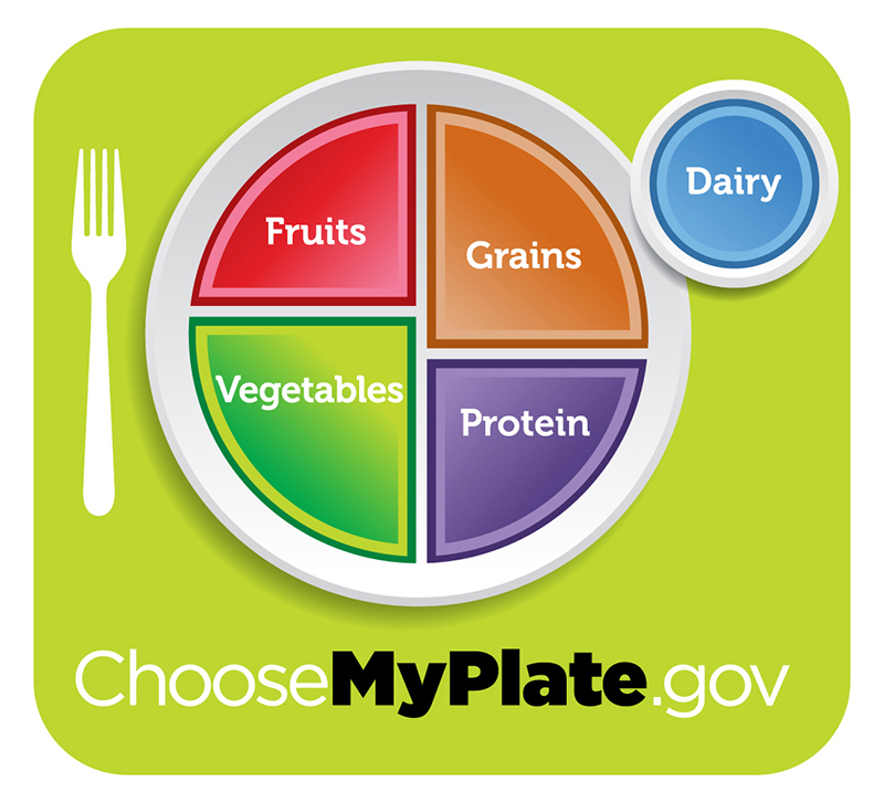 健康饮食标志显示了一个分为四个部分的盘子，分别标有 “水果”、“蔬菜”、“谷物” 和 “蛋白质”。 蔬菜部分比其他三个稍大。 盘子侧面的圆圈标有 “乳制品”。 牌照下方是网址 “选择我的牌照 dot gov”。