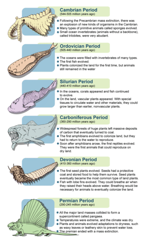 The period of the Paleozoic Era