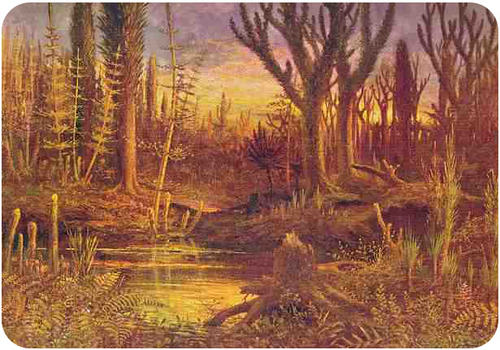 Paleozoic era Devonian period forest, with club mosses, horsetails, and ferns