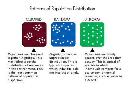 Clumped, random, and uniform population distributions