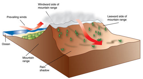 This diagram shows how precipitation is affected by the ocean and a mountain range