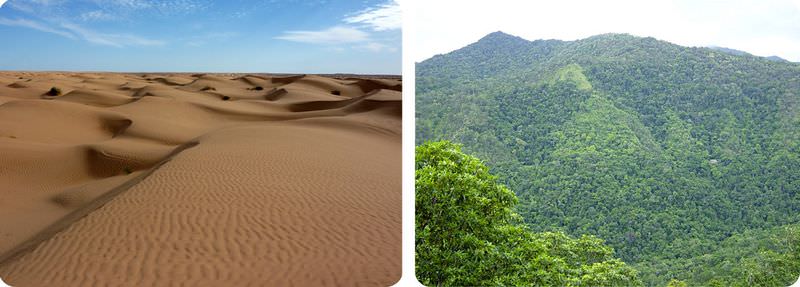 A desert and a rainforest are different biomes, even though both are roughly at the same distance from the equator