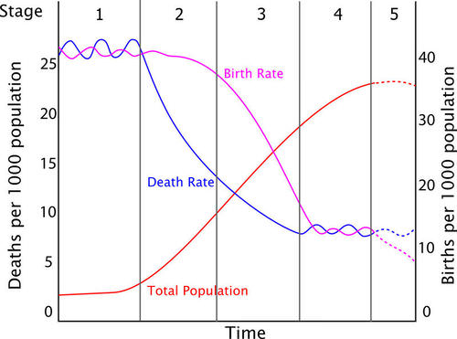 Graph of the stages of demographic transition