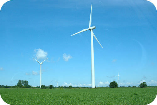 Wind turbines use a renewable resource