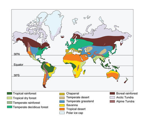 Un mapa que muestra las ubicaciones de los principales biomas terrestres de la Tierra