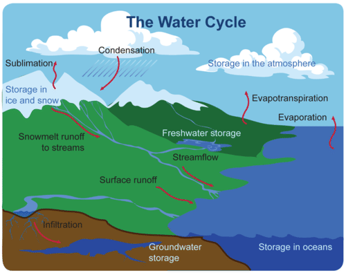 The water cycle takes place on, above, and below Earth's surface