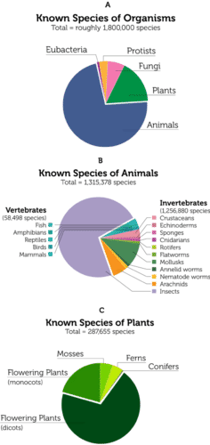 Graphs of known species of organisms, animals, and plants